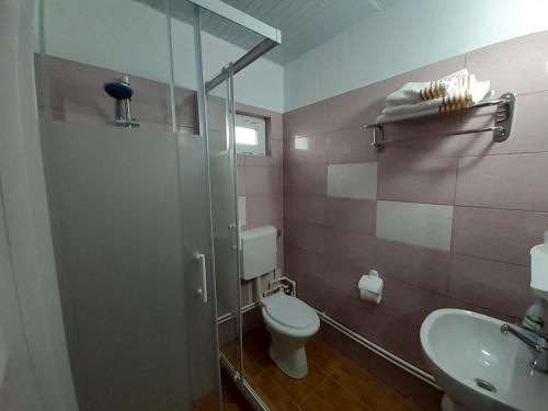 a bathroom with a toilet and a sink and a shower at Vila Albatros in Vama Veche