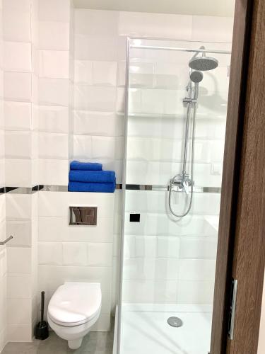 a bathroom with a toilet and a shower at APARTAMENTY POSEJDON in Świnoujście