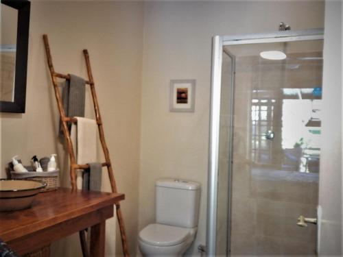 a bathroom with a toilet and a glass shower at Khashamongo B & B in Somerset West