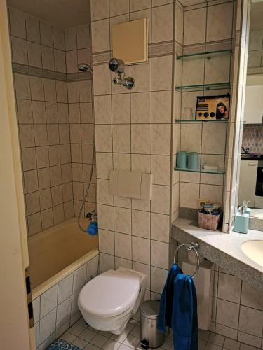 a bathroom with a toilet and a tub and a sink at Ferienwohnung Reni in Sankt Englmar
