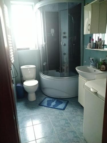 a bathroom with a shower and a toilet and a sink at Під лісом у гіда in Yaremche