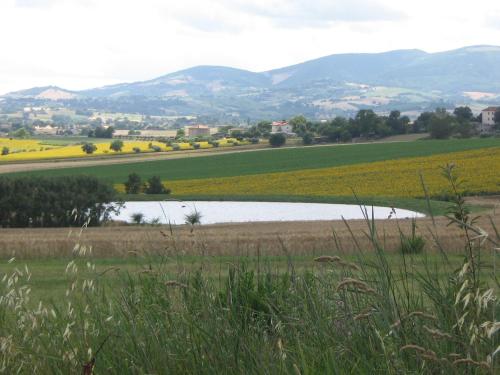 a river in a field with mountains in the background at Il Giardino Degli Ulivi in Appignano