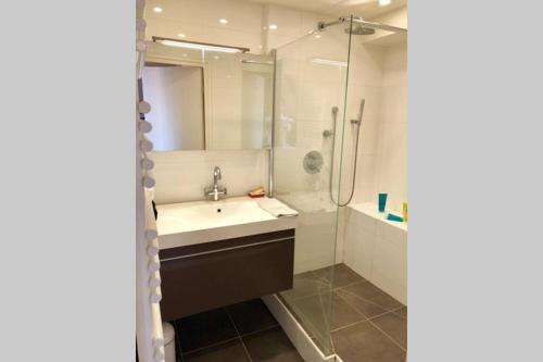 La salle de bains est pourvue d'un lavabo et d'une douche. dans l'établissement Appartement triangle d'or terrasse garage fermé, à Le Touquet-Paris-Plage