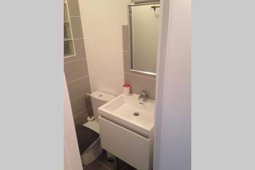 une salle de bain avec un lavabo, des toilettes et un miroir dans l'établissement Studio proche du lac-Triangle d'or, à Annecy