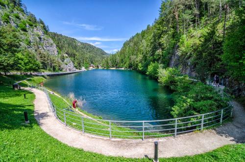 a river in the middle of a mountain with a fence at Casa Elisa Apartments in Sarnonico