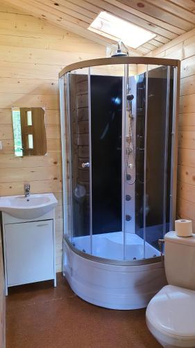 a bathroom with a shower and a toilet and a sink at Eco domki in Ruciane-Nida