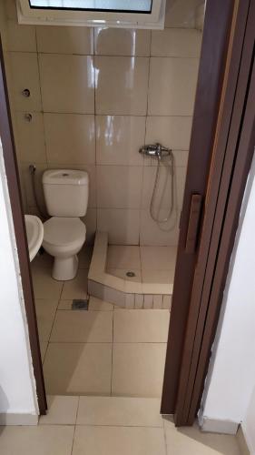 a small bathroom with a toilet and a shower at Celia`s Studio in Nea Peramos