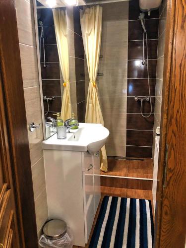 a small bathroom with a sink and a shower at Villa Borostyán in Tihany