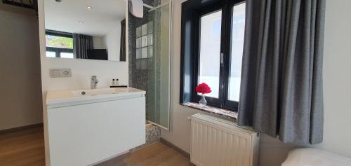 Kuchyň nebo kuchyňský kout v ubytování Villa Les Rosiers