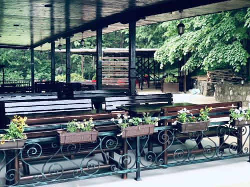 a group of benches with potted plants on them at Jezero Kudrec in Smederevska Palanka