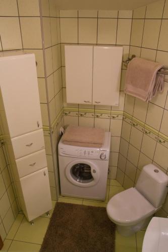 a small bathroom with a toilet and a washing machine at Zielony domek in Bielsko-Biała