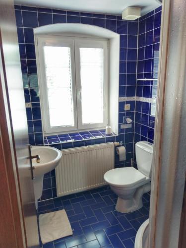 Ένα μπάνιο στο Hotel a Hostinec Tálský mlýn