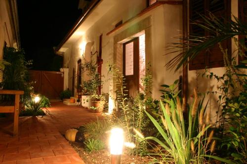 a courtyard with plants and lights at night at Casa.Peiso in Mörbisch am See