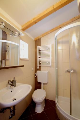a bathroom with a toilet and a sink and a shower at Ante in Dubrovnik