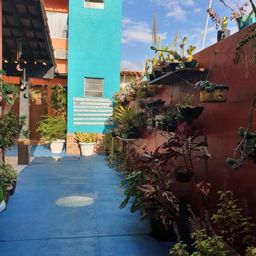 a walkway with plants on the side of a building at Pousada Solar dos Cavaleiros Mendes in Macaé