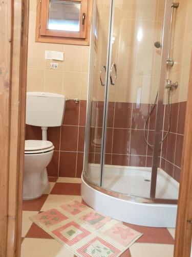 a bathroom with a shower and a toilet at Dream Horse Apartman Cserkeszőlő in Cserkeszőlő