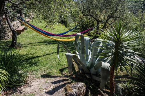 a hammock in a garden with a cactus at La Fattoria di Nonna Eugenia in Lerici