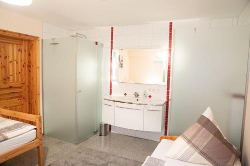 een kleine badkamer met een wastafel en een spiegel bij Ferienwohnung "Johann" in Meckenbeuren