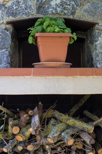 Gallery image of Agriturismo Podere Pizzicagallo in Manciano