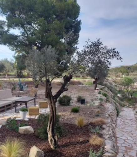 a garden with a tree and a picnic table at Casa Rural Molera in Elda