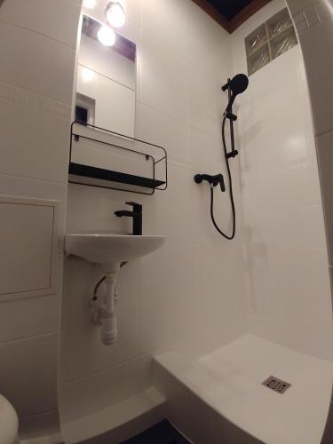 a bathroom with a sink and a shower at LOFT 57 CENTRUM in Olsztyn