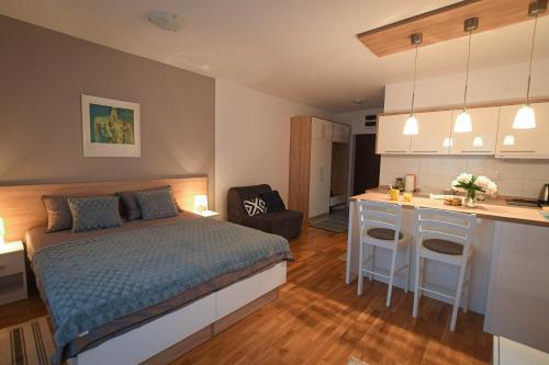 A kitchen or kitchenette at Apartment Plaža