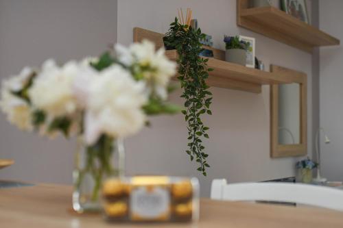 Fotografie z fotogalerie ubytování Apartment Plaža v destinaci Kladovo