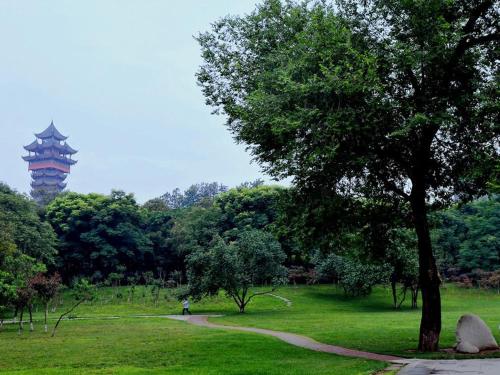 a tree in a park with a tower in the background at 7Days Premium Chengdu East Railway Station Subway Station Branch in Chengdu