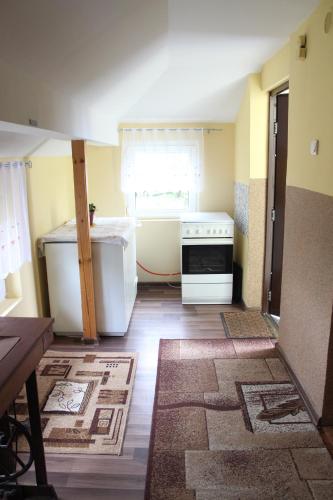 eine Küche mit einem weißen Kühlschrank und einem Fenster in der Unterkunft Dom na Zaciszu in Laliki