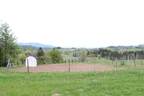 Ein Feld mit einem Zaun im Gras in der Unterkunft Dom na Zaciszu in Laliki