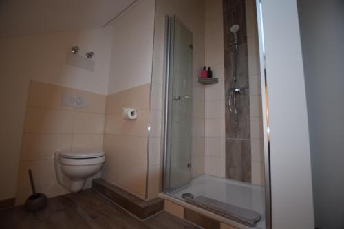 a bathroom with a shower and a toilet at Ferienwohnungen Busch`s Gästehaus in Rust