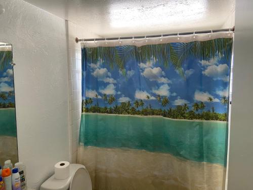 a bathroom with a shower with a view of the ocean at Private room in a 2 bedroom 1 bathroom shared with host, on the beach, surrounded by resorts, only 2 people MAX in St Pete Beach