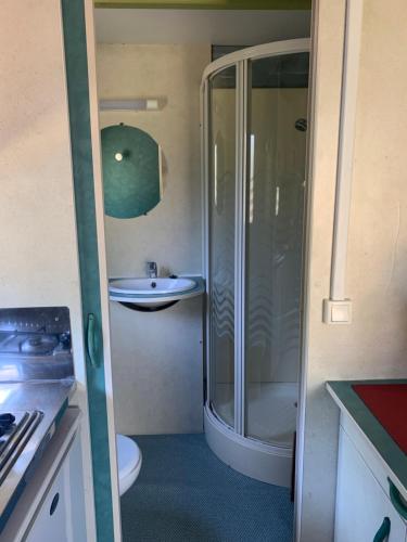 La salle de bains est pourvue d'une douche et d'un lavabo. dans l'établissement Camping Calme et Nature Iserand, à Vion