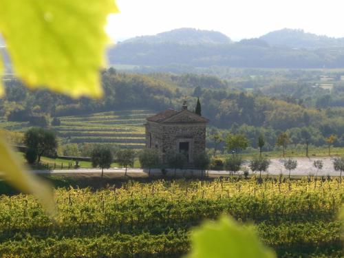 an old stone building in a field with a vineyard at Agriturismo Ronchi Di Sant'Egidio in Manzano