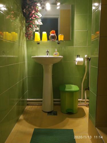 a green bathroom with a sink and a mirror at Mathias Lovasudvar in Kemence