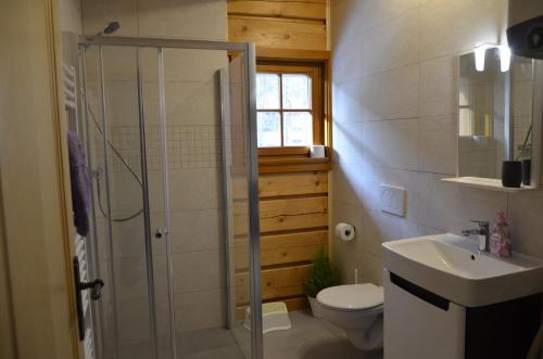 a bathroom with a shower and a toilet and a sink at Apartmány u vlčích jam in Petrovice u Susice