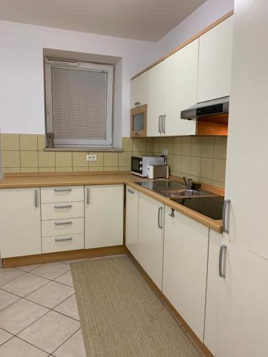 Cuina o zona de cuina de Apartma Piran
