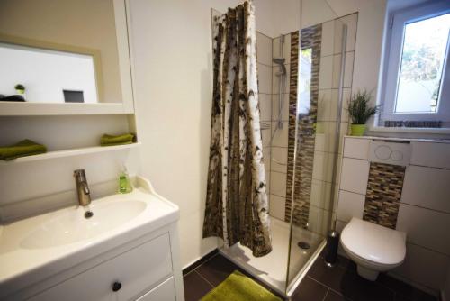 a bathroom with a shower and a sink and a toilet at Apartment am Birkenfeld Allgäu Kaufbeuren in Steinholz