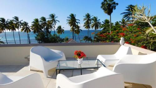 Apartment with 2 bedrooms in Las Terrenas with wonderful sea view enclosed garden and WiFi 20 m from