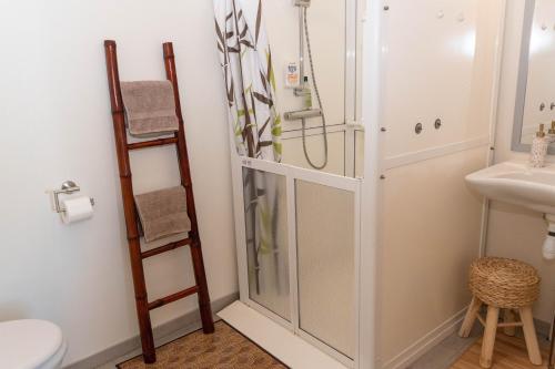a shower in a bathroom with a toilet and a sink at La Fée Maison in Châtel-sur-Moselle