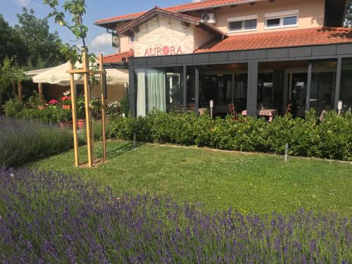 un jardin avec des fleurs violettes en face d'un bâtiment dans l'établissement Aurora Panzió, à Bük