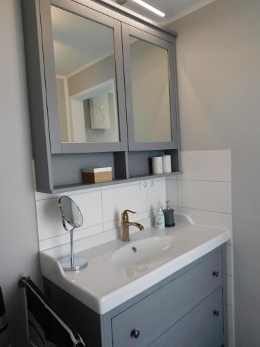 a bathroom with a white sink and a mirror at Ferienhaus-Steinburg in Schönberg