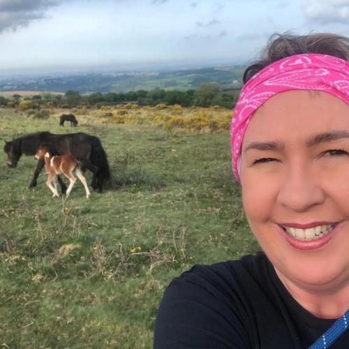 a woman wearing a pink head band standing in a field with horses at The Moorland Hotel in Wotter