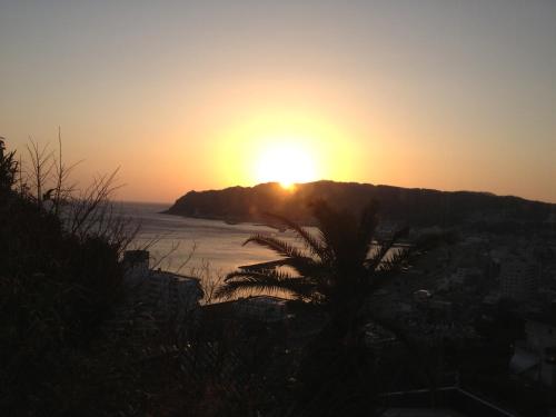 a sunset over the ocean with a palm tree at Beach Commune Simploose (Adult Only) in Ito