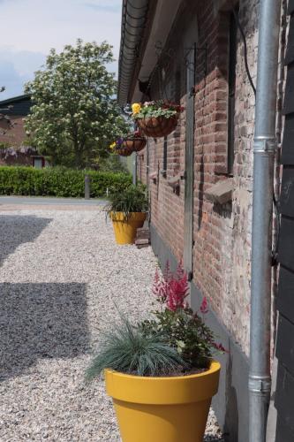 a row of potted plants on the side of a building at Kade10Buren in Buren