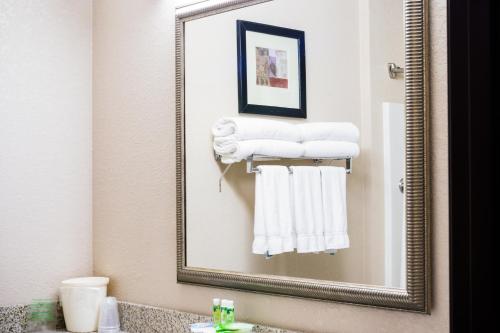 A bathroom at Holiday Inn Express Hotel & Suites Acme-Traverse City, an IHG Hotel