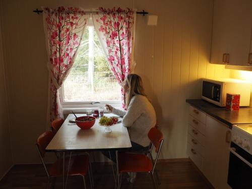 Η κουζίνα ή μικρή κουζίνα στο Cabin with great view close to town and ski area