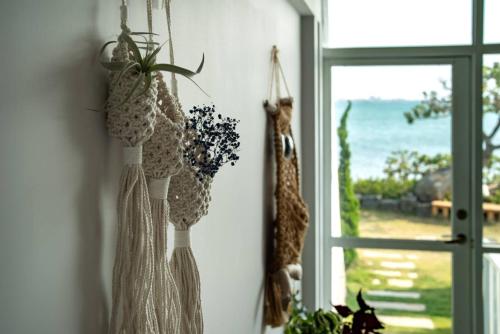 Zahrada ubytování Migrator Intertidal Homestay