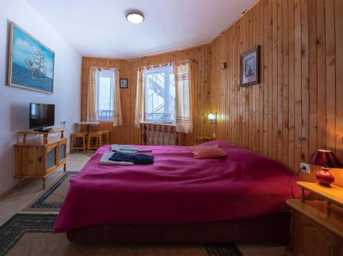 Afbeelding uit fotogalerij van Hotel Elitza in Pamporovo