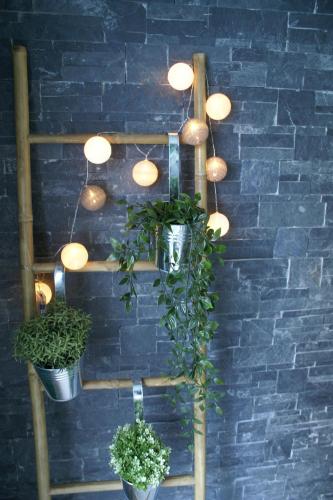 a shelf with potted plants on a brick wall at Magnifique Suite avec Jacuzzi privatif in Martragny